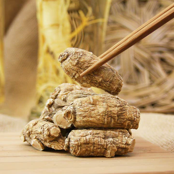 高麗人参